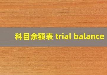 科目余额表 trial balance